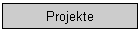 Projekte